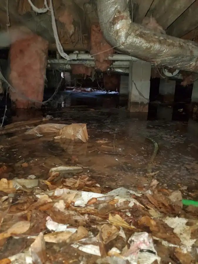 Crawl space flood assessment for Leak Detection & Repair in Lake Arbor