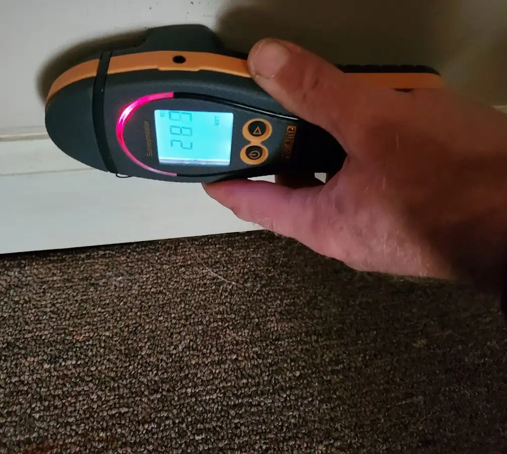 Moisture detection at baseboard during Mold Inspection & Testing in Lake Arbor